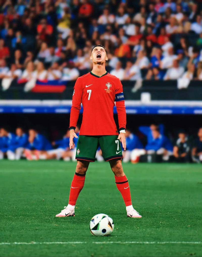 对荷兰队有 对荷兰队有