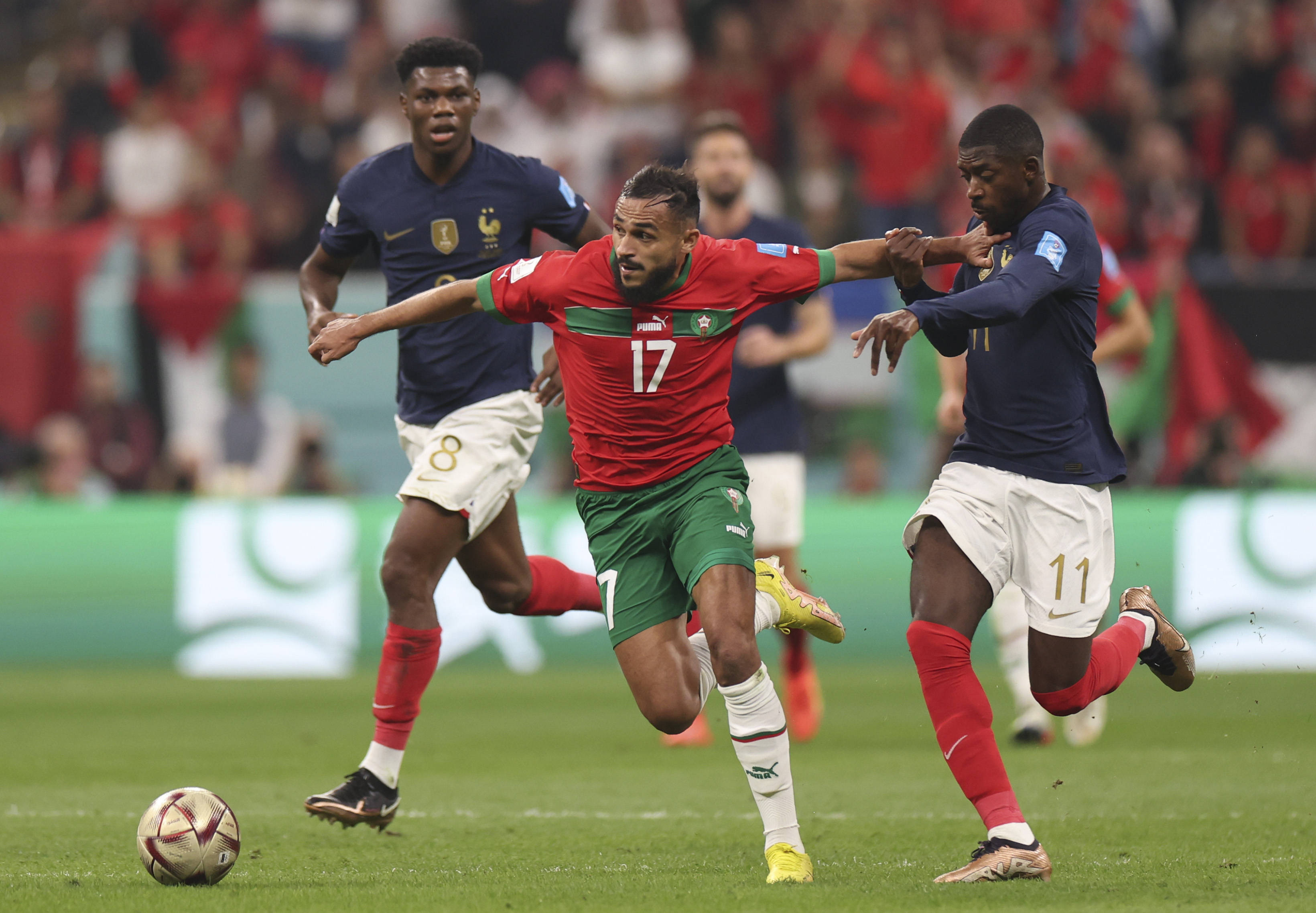 则为球队提 则为球队提